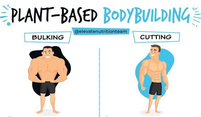 What is Bulking and Cutting?: A Step-by-Step Guide